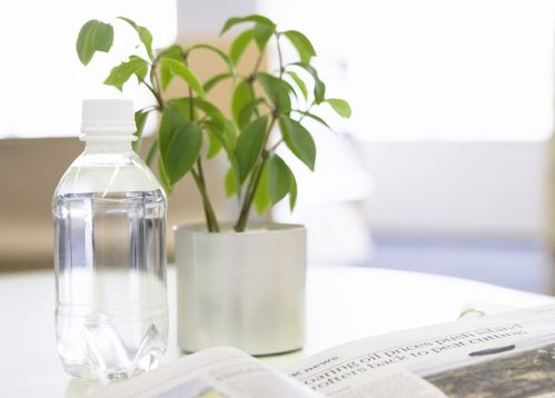 3月底,沖破霧霾,紅鸞星動(dòng) ,熬過苦難,迎來幸福,再續(xù)前緣 生肖